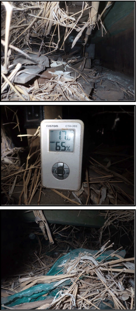 床下温度湿度の計測