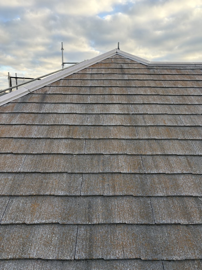 屋根外壁塗装前の外観