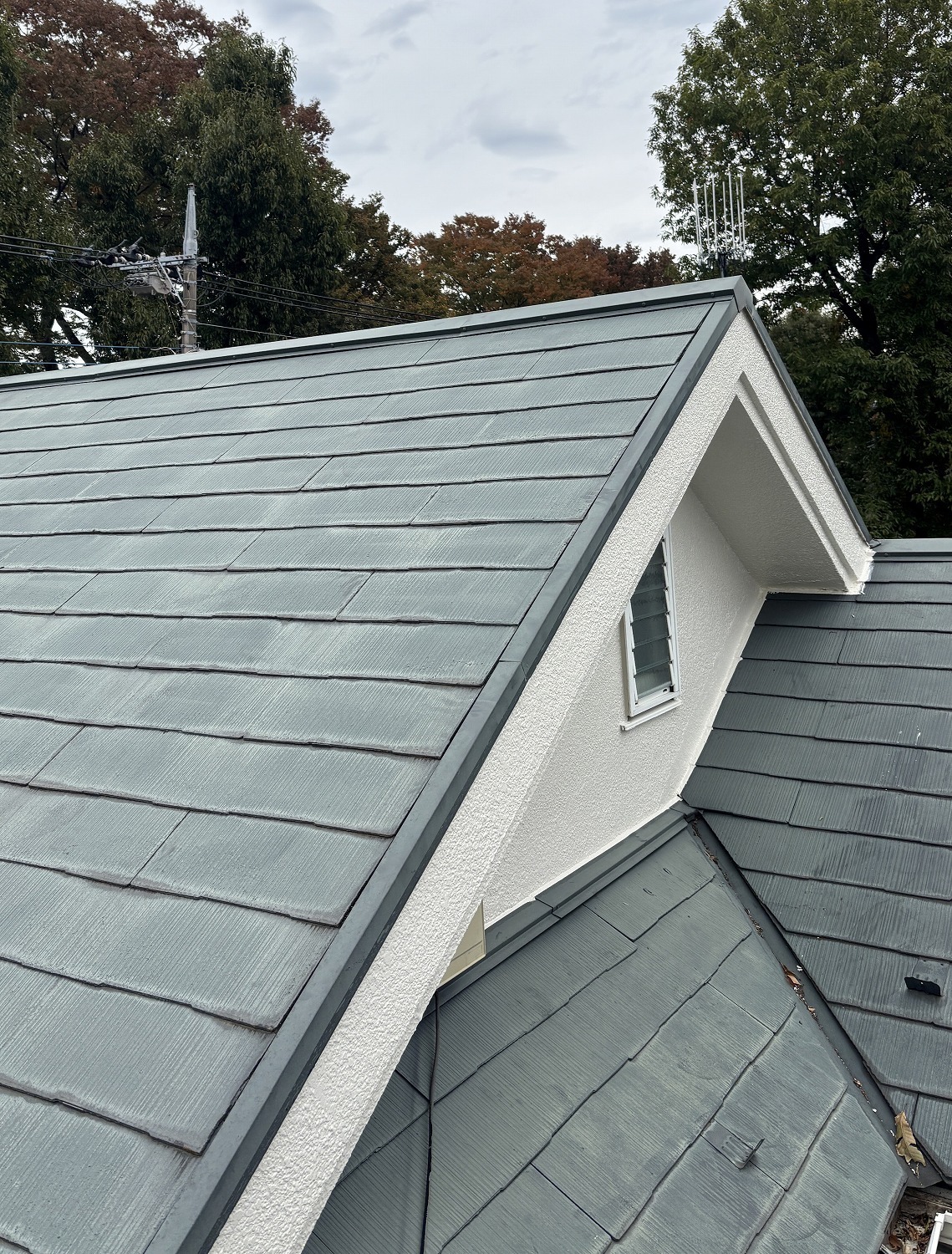 小平市リフォームワークスの施工事例：屋根外壁塗装前の外観