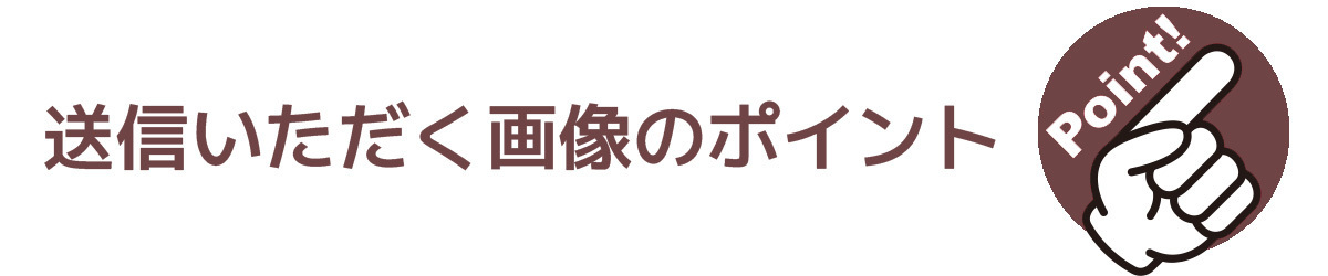 送信いただく画像のポイント