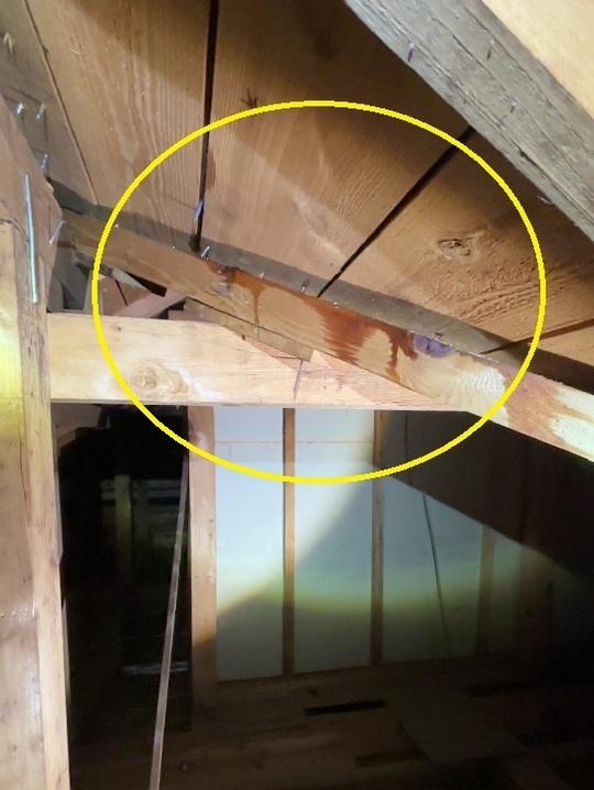 小平市リフォームワークスの施工事例：確認された雨漏り