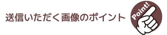 送信いただく画像のポイント